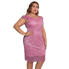 Elegant Lace Dress