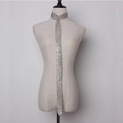 Silver Rhinestone Crystal Extra Long Belt