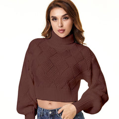 Loose Solid Color Turtleneck Sweater