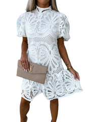 Lace Elegant Dress