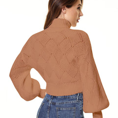 Loose Solid Color Turtleneck Sweater
