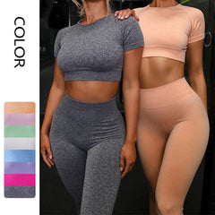 Seamless Yoga Sport Set Fitness Running Leggings Short Sleeve Tops