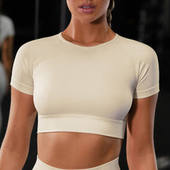 Seamless Yoga Sport Set Fitness Running Leggings Short Sleeve Tops