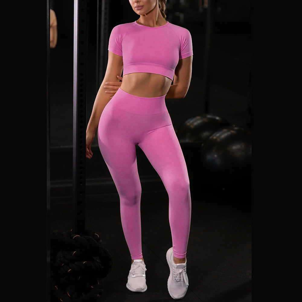 Seamless Yoga Sport Set Fitness Running Leggings Short Sleeve Tops
