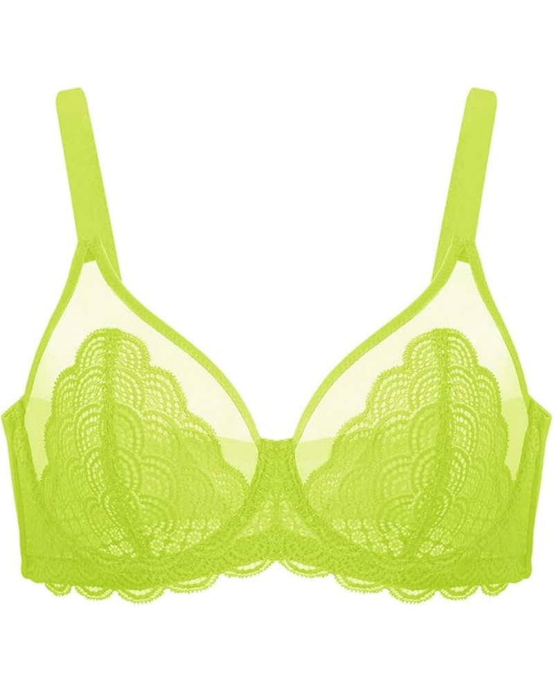 Lace Sheer Mesh Bra