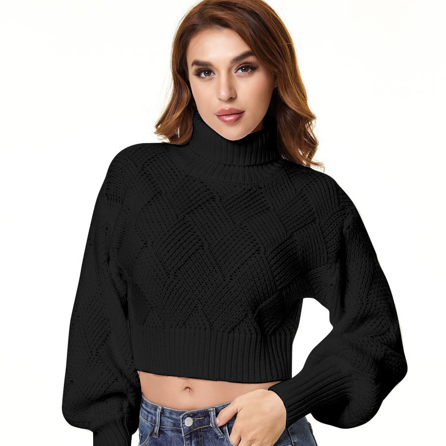 Loose Solid Color Turtleneck Sweater