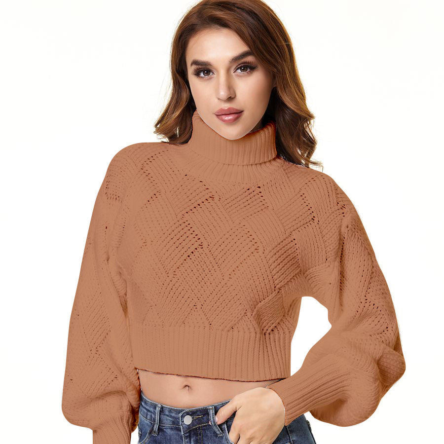 Loose Solid Color Turtleneck Sweater