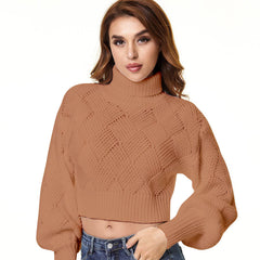 Loose Solid Color Turtleneck Sweater