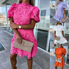 Lace Elegant Dress