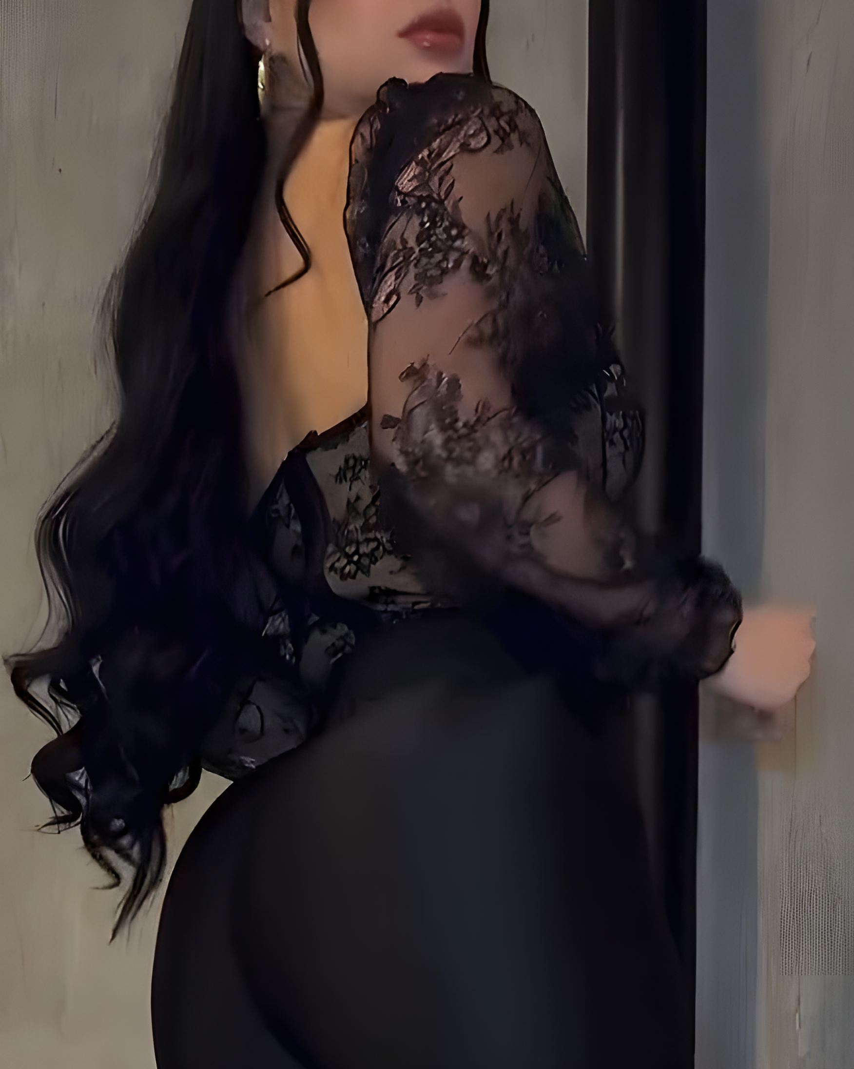 Long-Sleeved Mesh Lace Corset Top
