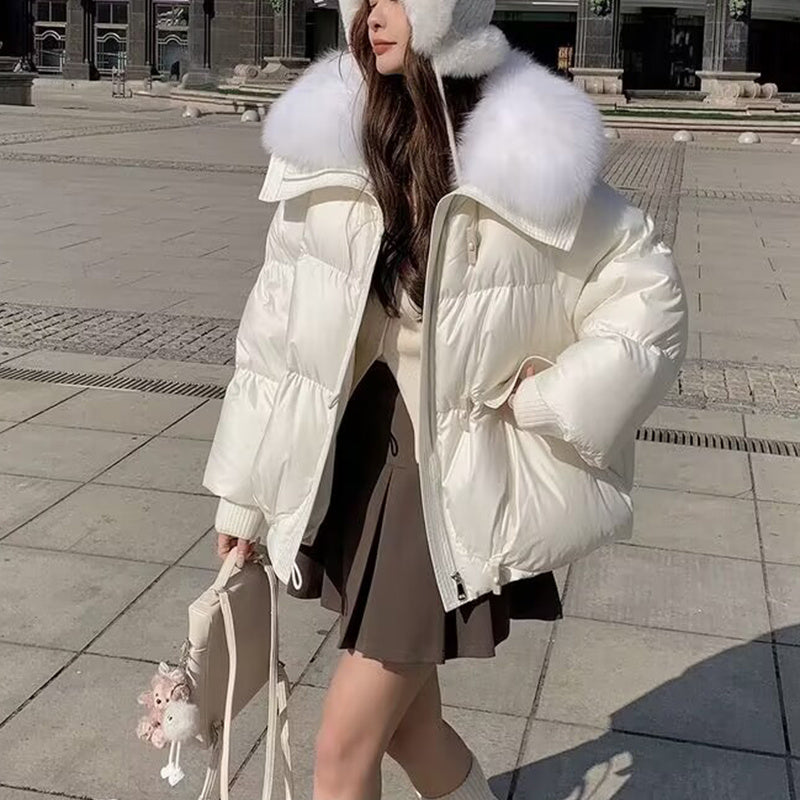 Down Cotton-padded Jacket Short Fur Collar Thickened Coat Clothing