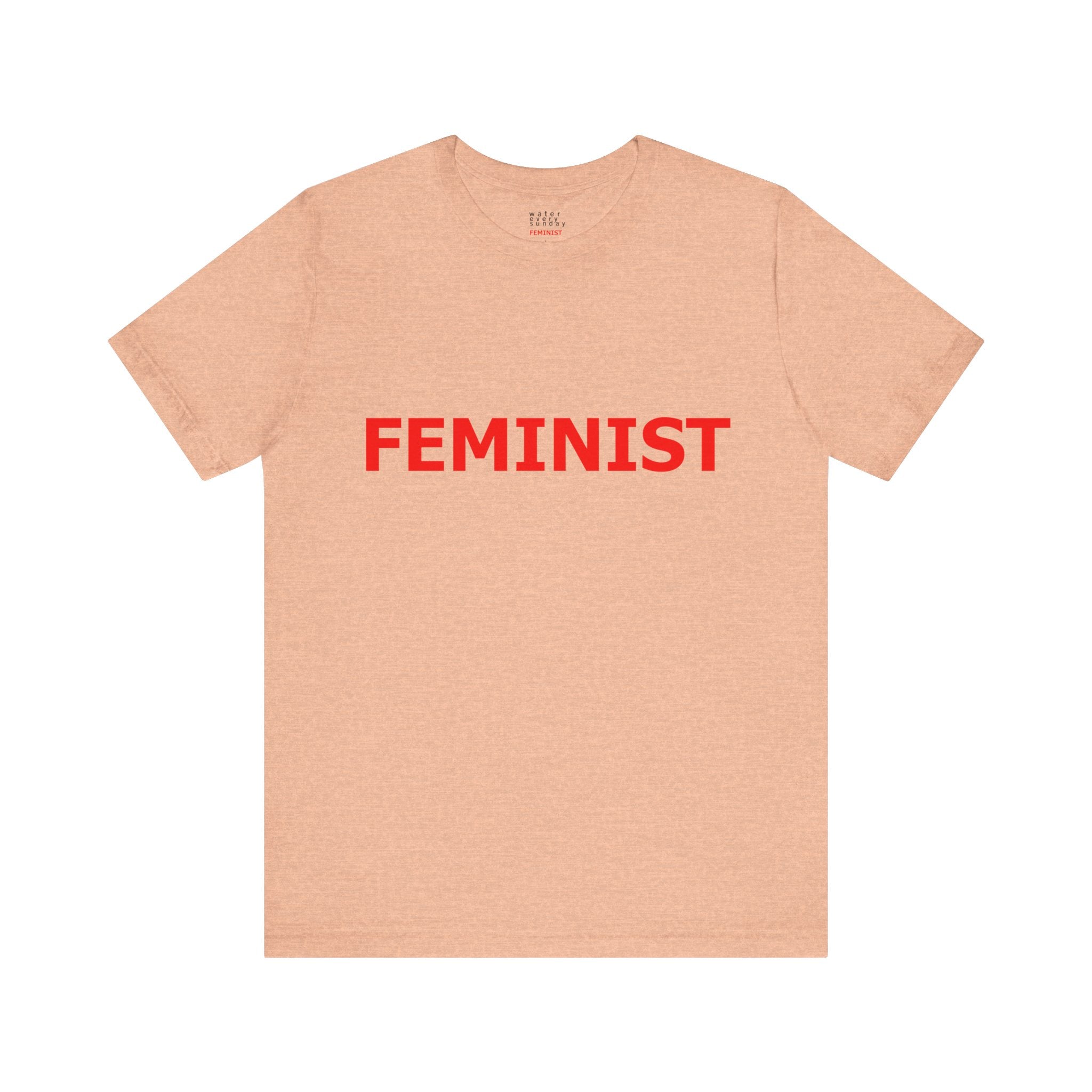 FEMINIST Statement T-Shirts