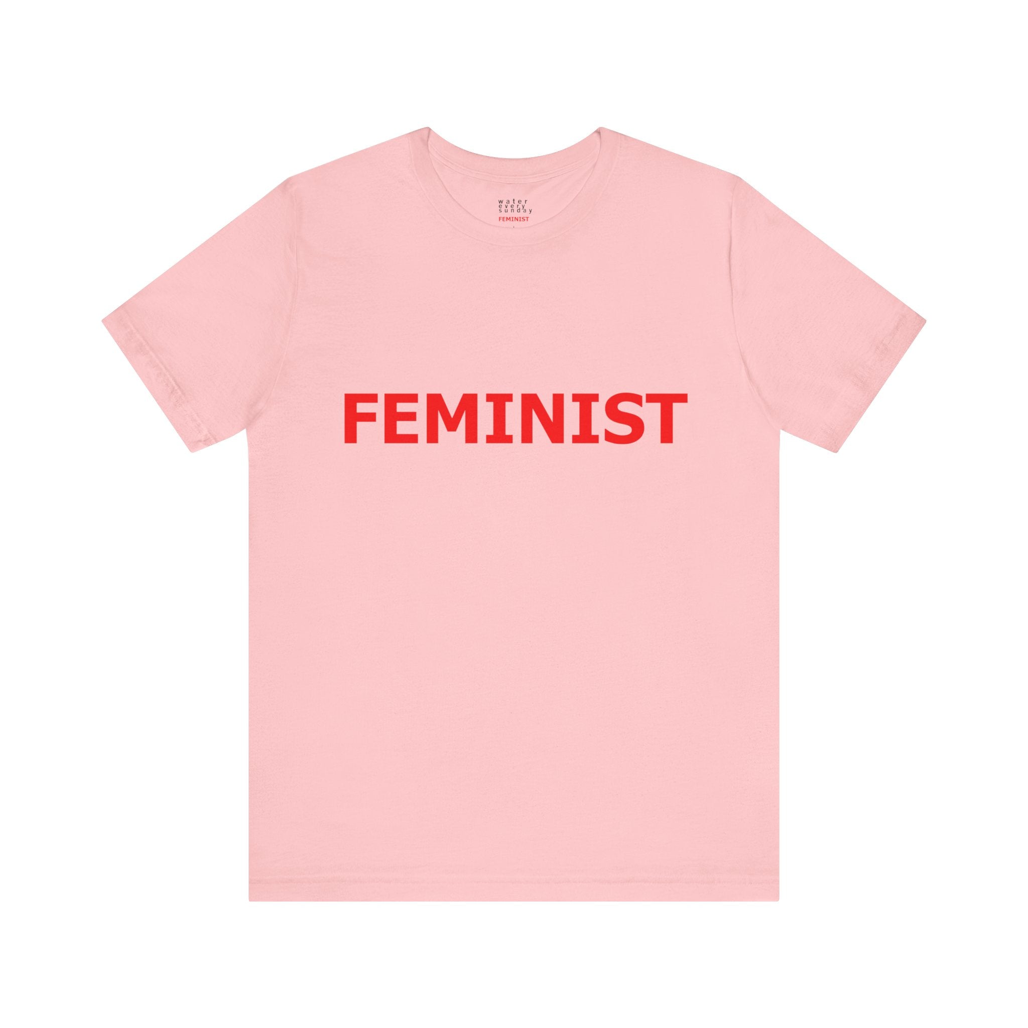 FEMINIST Statement T-Shirts