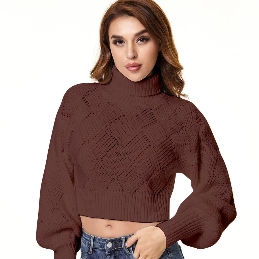 Loose Solid Color Turtleneck Sweater