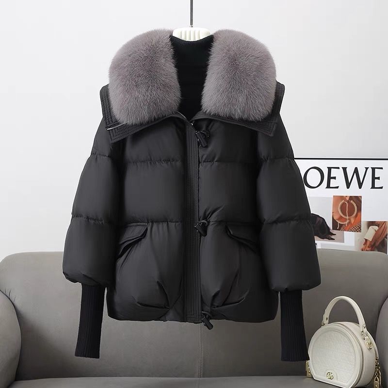 Down Cotton-padded Jacket Short Fur Collar Thickened Coat Clothing