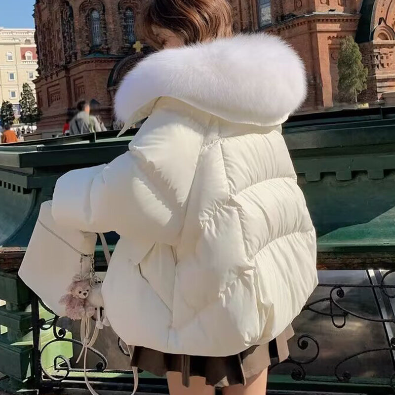 Down Cotton-padded Jacket Short Fur Collar Thickened Coat Clothing