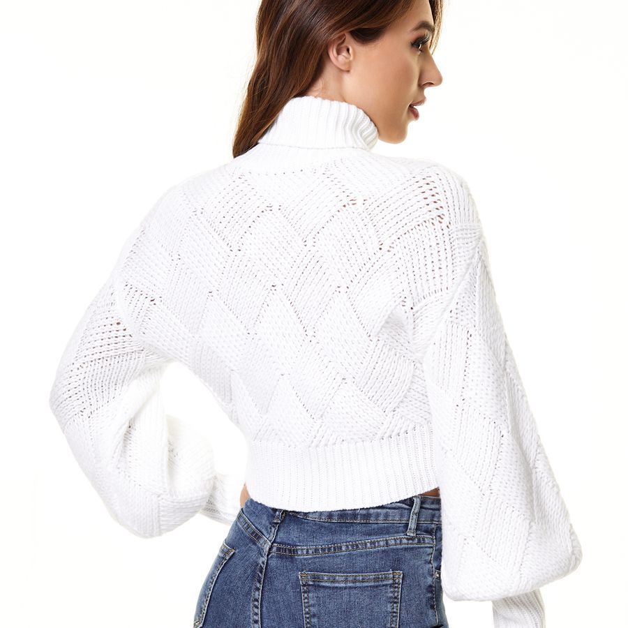 Loose Solid Color Turtleneck Sweater