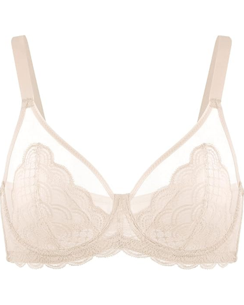 Lace Sheer Mesh Bra